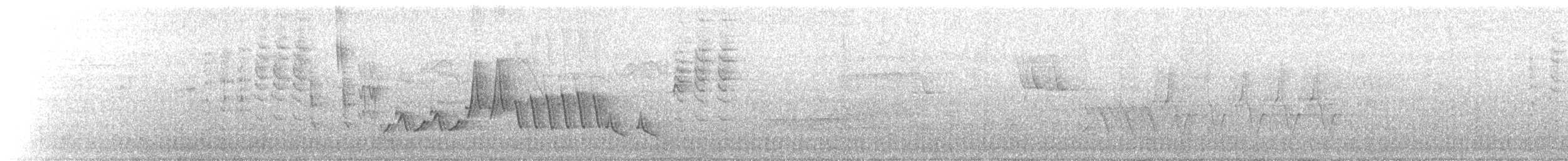 Southern House Wren - ML636980297