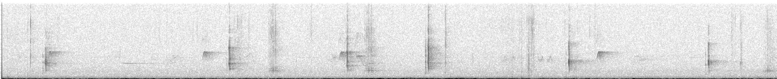 Black-backed Woodpecker - ML636981872