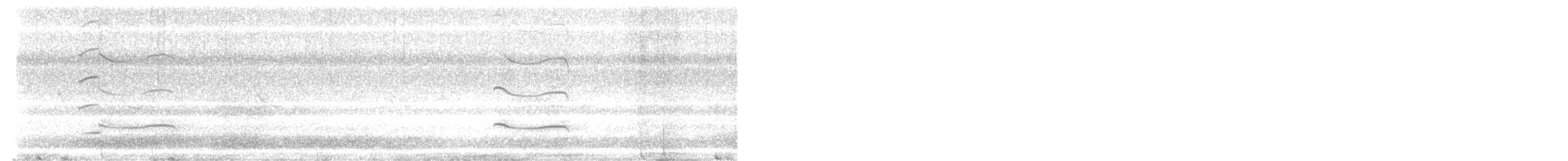 Black-bellied Plover - ML636982378