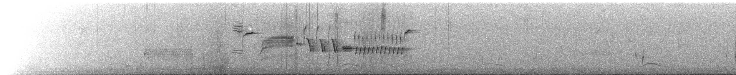 Bewick's Wren - ML636982439