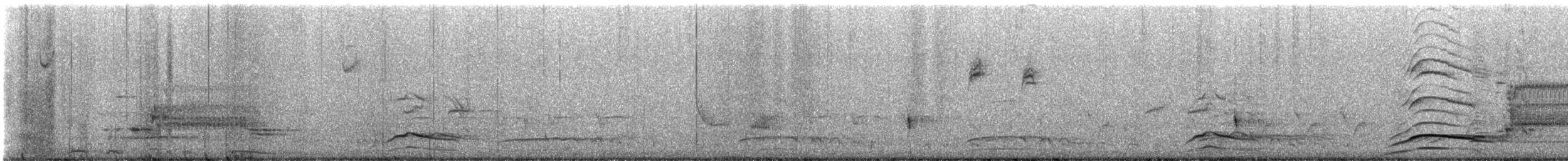 Gambel's Quail - ML636982450