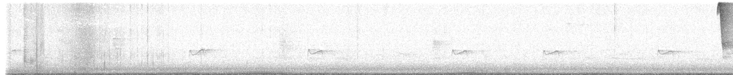 Yellow-bellied Flycatcher - ML636983540