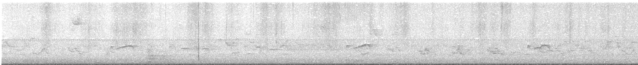 Yellow-bellied Flycatcher - ML636983541