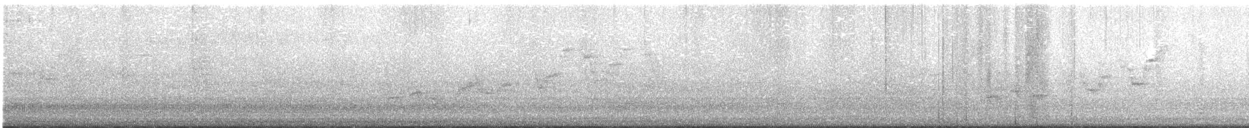 Swainson's Thrush - ML636983610