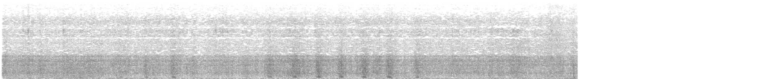 dropík australský - ML636984072