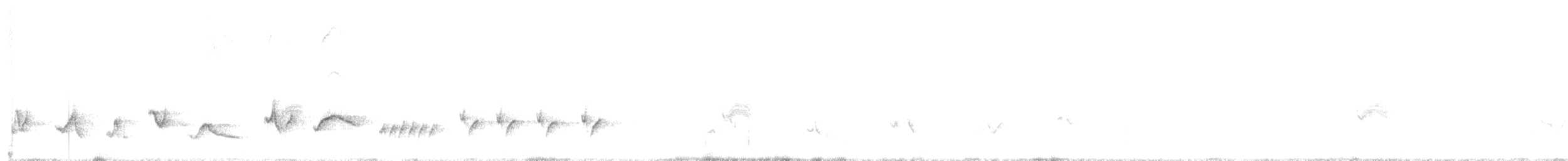 svarthodetykknebb - ML636984796