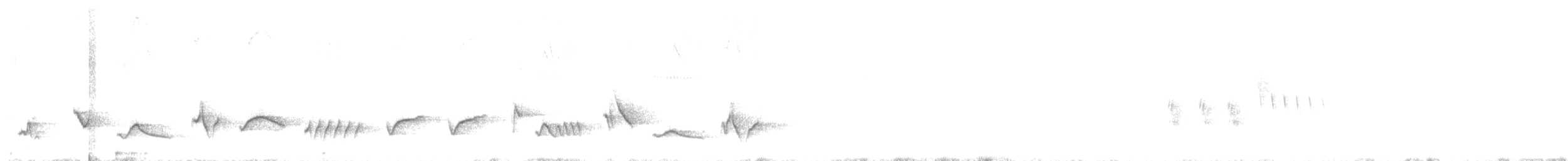 svarthodetykknebb - ML636984797