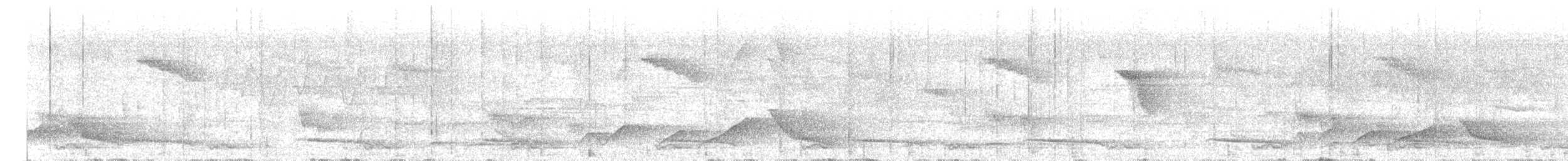 Grammatoptile strié - ML636985374
