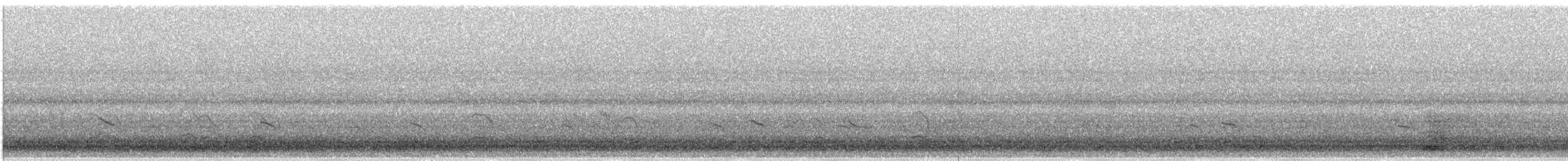 キョウジョシギ - ML636985423