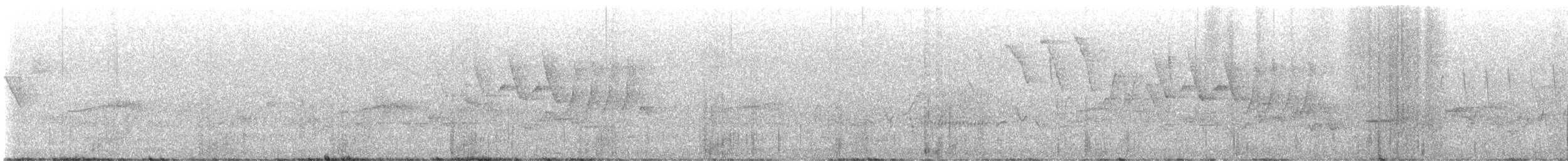 Western/Eastern Wood-Pewee - ML636985471