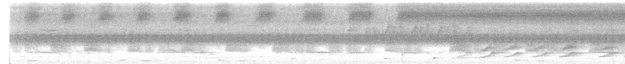 blåvingelattertrost - ML636985713
