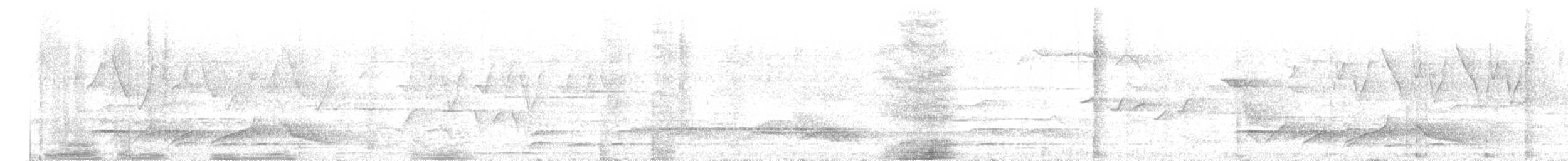 Grammatoptile strié - ML636986370