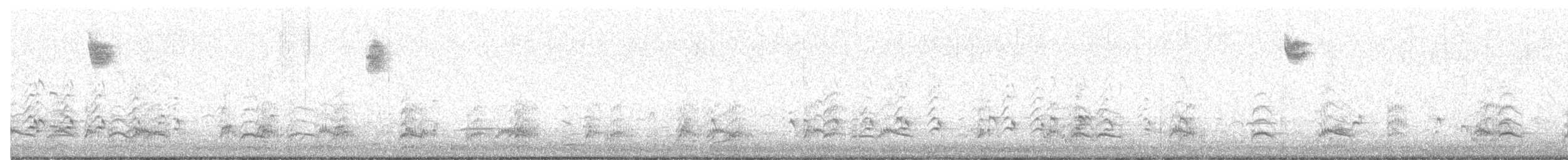 gråbrynspurv - ML636986620