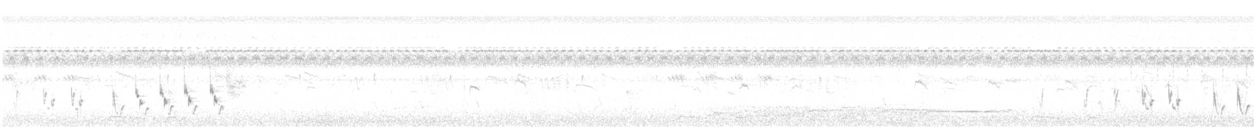 Striated Grassbird - ML636987265