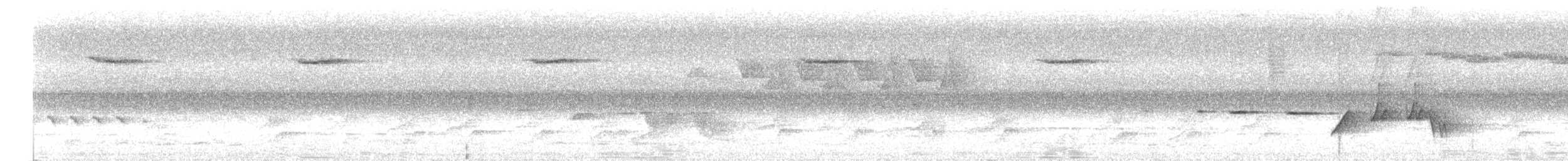 Gray-bellied Tesia - ML636988437