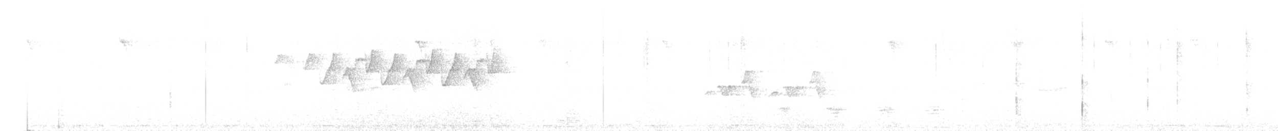 Phylloscopus sp. - ML636988529