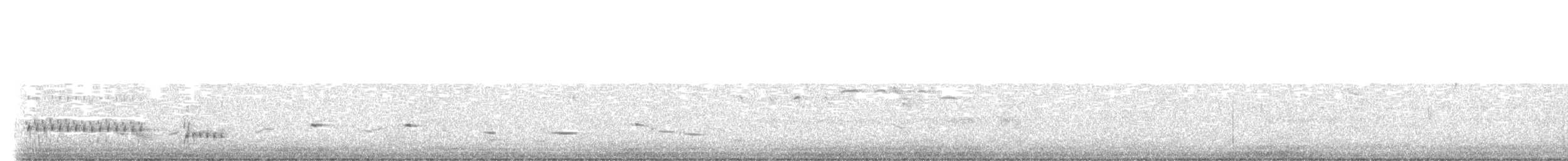 Tawny Grassbird - ML636989644