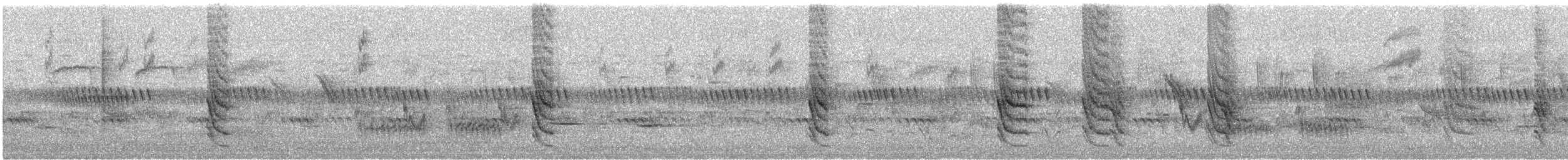 Hirondelle striée - ML636989955