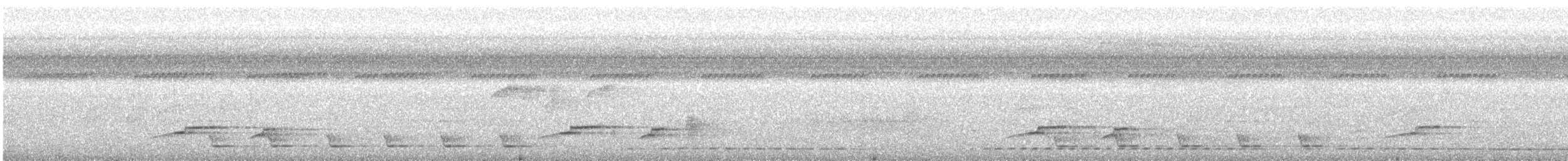 Gray-hooded Babbler - ML636991072
