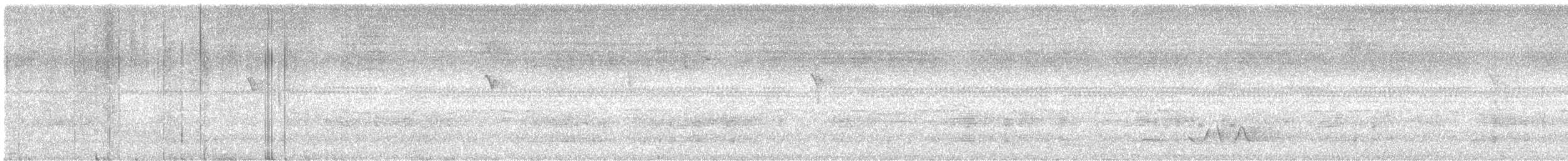 Pale-vented Pigeon - ML636992975
