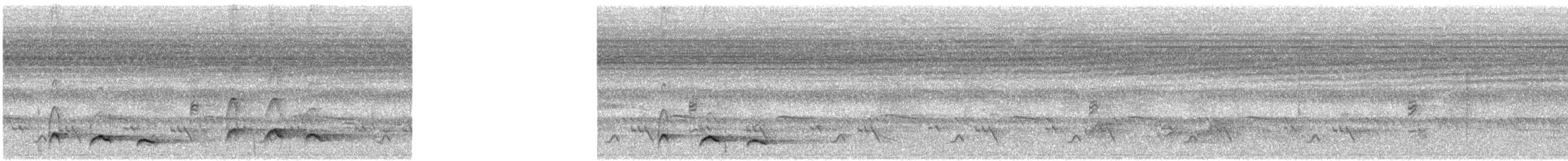 Red-chested Cuckoo - ML636993012