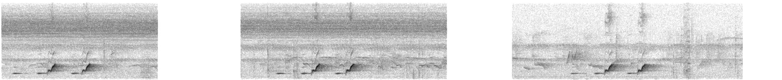 Four-colored Bushshrike - ML636993214