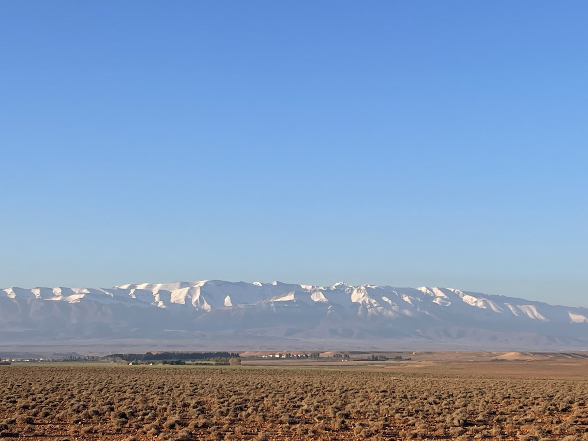 null - ML636993252