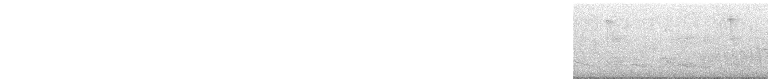 Magnolia Warbler - ML636995338