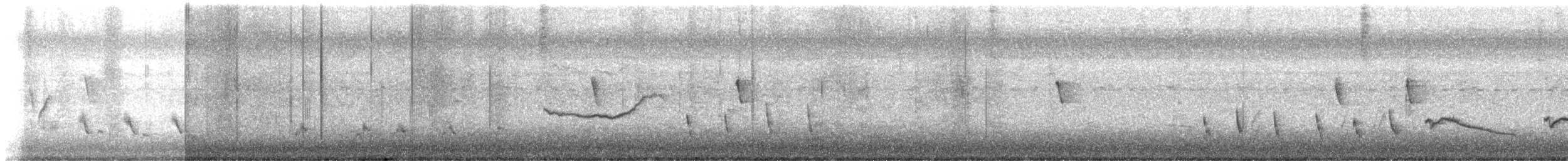 Chalk-browed Mockingbird - ML636996052