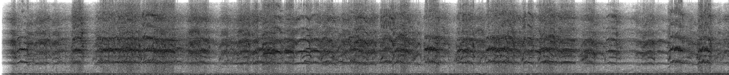 Nanday Parakeet - ML636996119