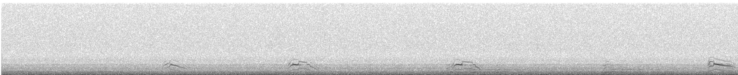 Ringschnabelmöwe - ML636996695