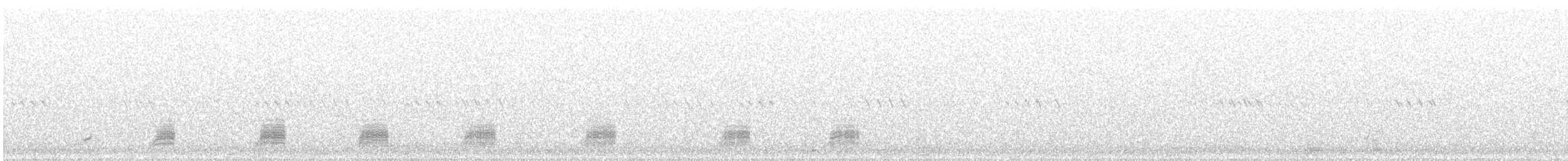 Stockente - ML636999226