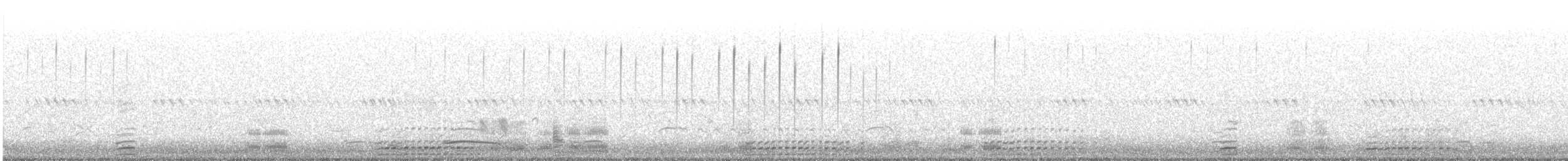 Casarca - ML636999313