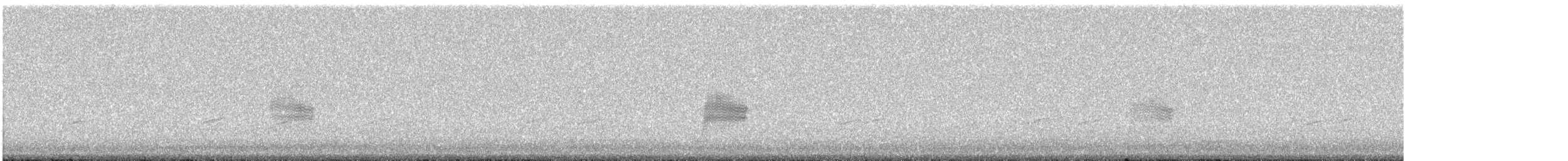 Common Nighthawk - ML636999477
