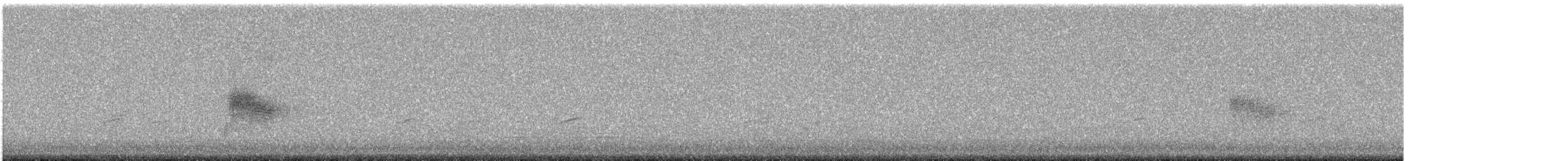Common Nighthawk - ML636999478