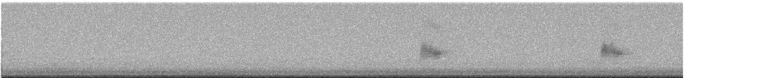 Common Nighthawk - ML636999479