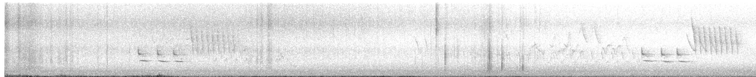 Tohi tacheté - ML636999596