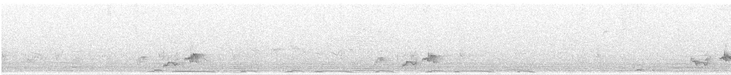 bulbul arabský - ML637000374