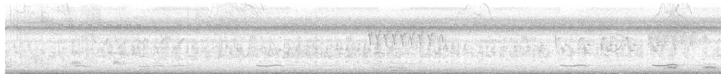 מין לא מוכר - ML637005491