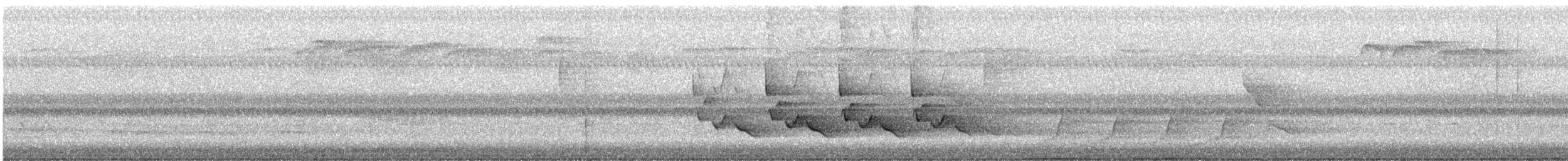 Carolina Wren - ML637005745