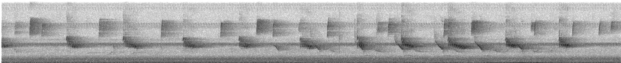 Carolina Wren - ML637005746