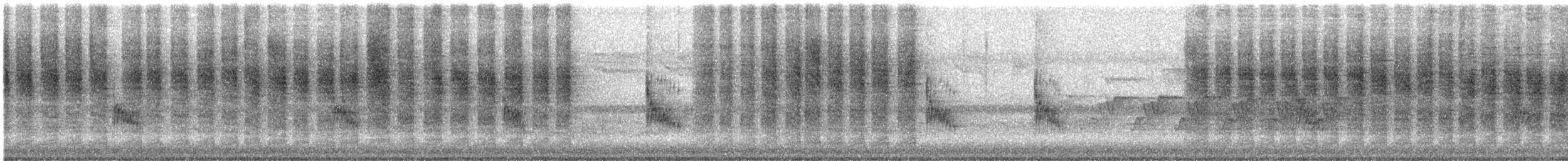 Carolina Wren - ML637005747