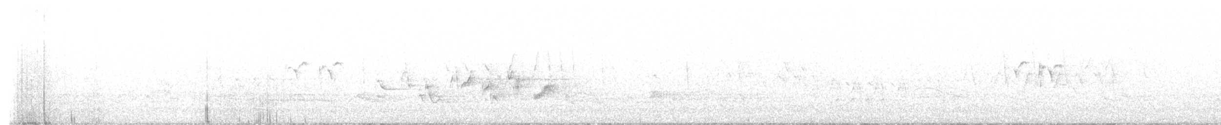 Yellow-throated Warbler - ML637006076