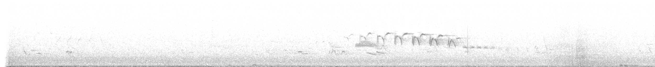Yellow-throated Warbler - ML637006081
