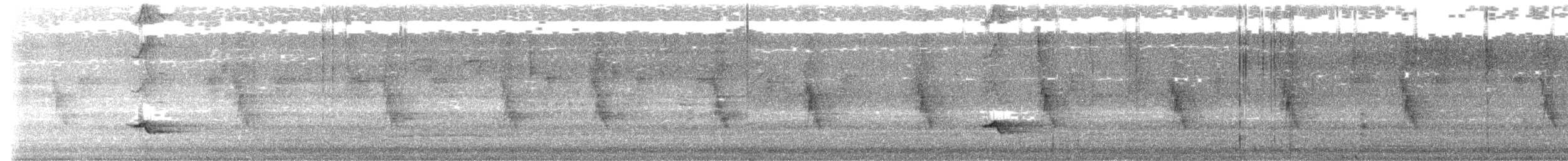 פזאי צפוני - ML637006814