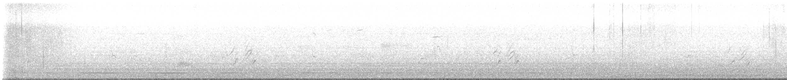 Cassin's Kingbird - ML637006895