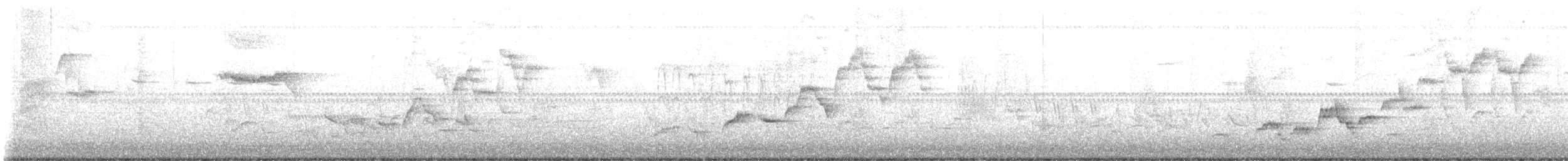 Swainson's Thrush - ML637007831