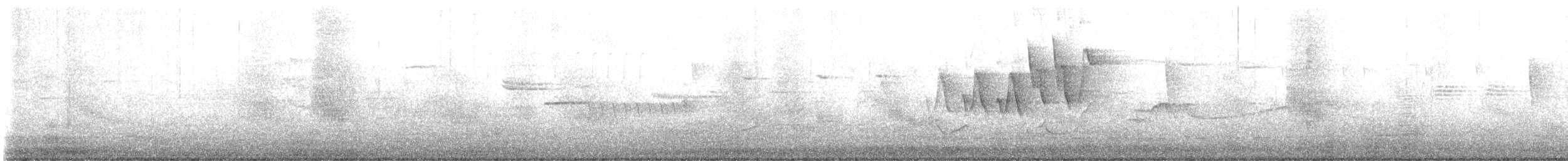 Yellow Warbler (Northern) - ML637007883