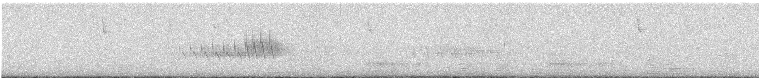 Grace's Warbler - ML637008083