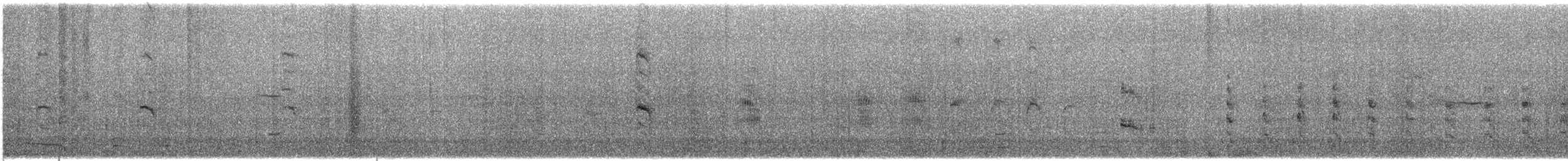 Королевский пастушок - ML637009614